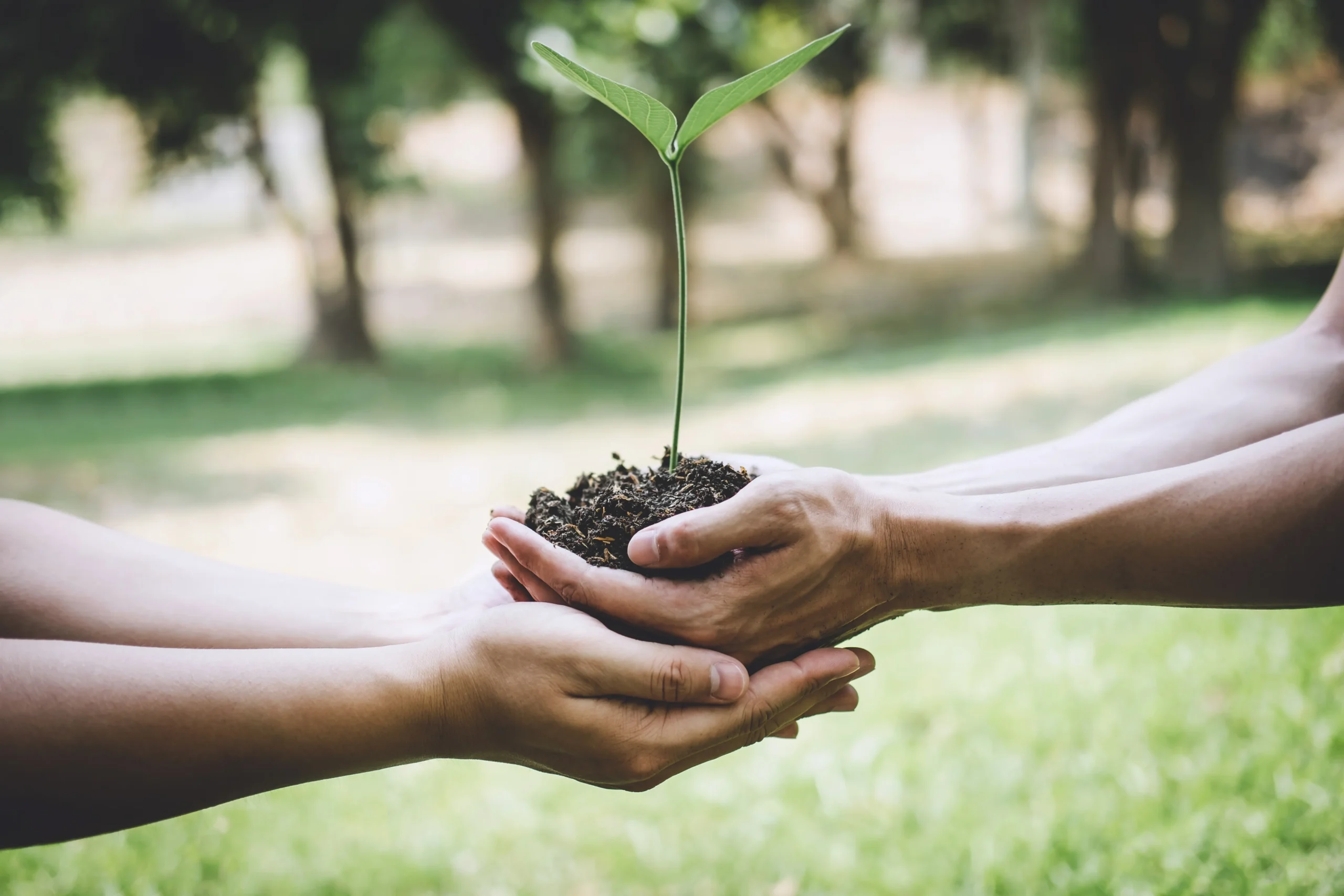 impacto medioambiental 