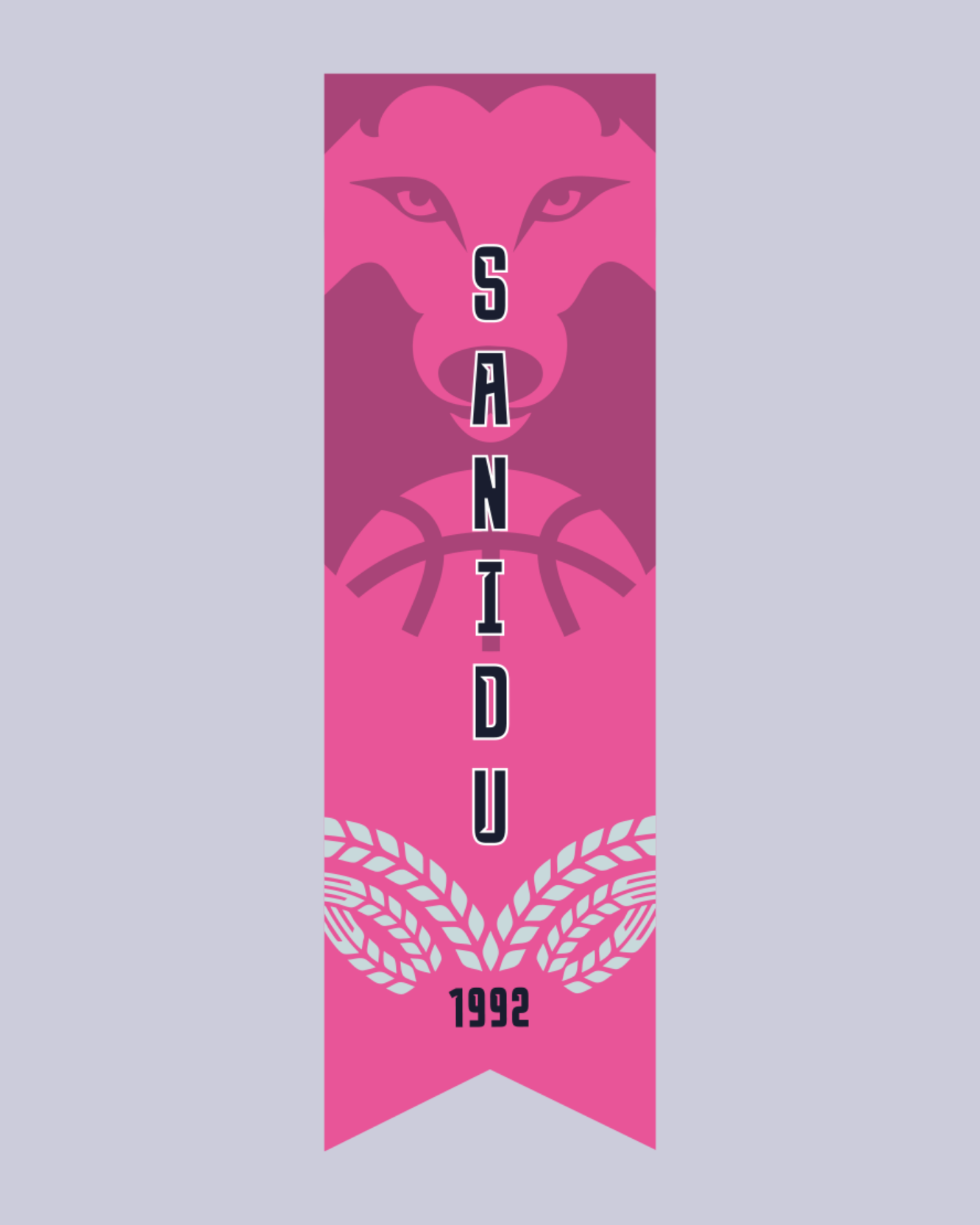 banderolas publicidad patrocinadores cdsi valladolid livire