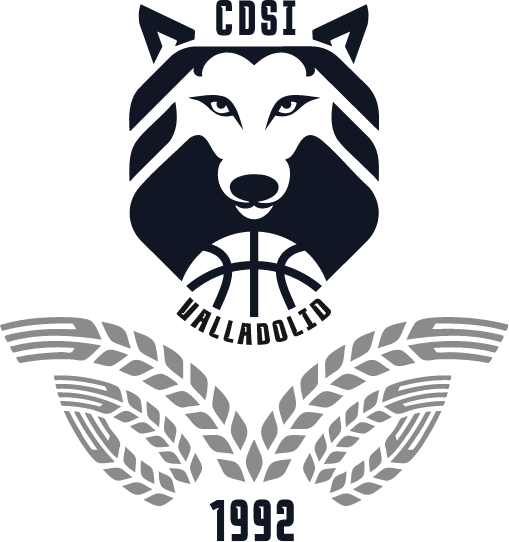 identidad logotipo cdsi valladolid livire